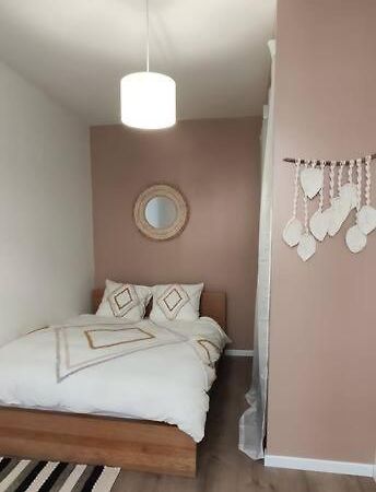 Апартаменты Logement 5 Personnes Proche Cv Et Parking Prive Сент-Этьен Экстерьер фото