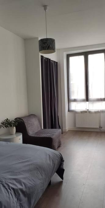 Апартаменты Logement 5 Personnes Proche Cv Et Parking Prive Сент-Этьен Экстерьер фото