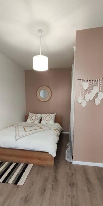 Апартаменты Logement 5 Personnes Proche Cv Et Parking Prive Сент-Этьен Экстерьер фото