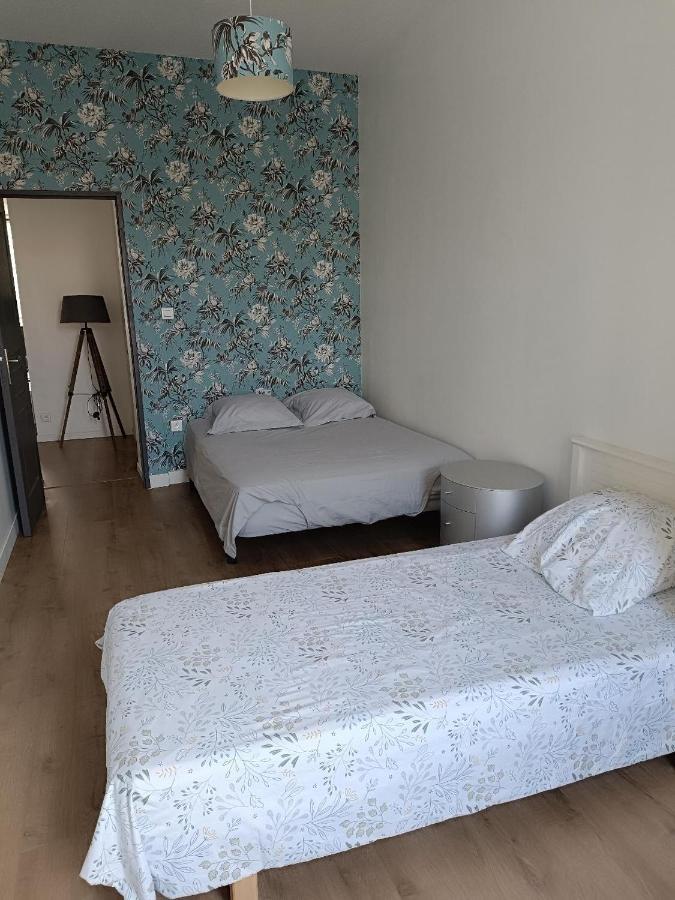 Апартаменты Logement 5 Personnes Proche Cv Et Parking Prive Сент-Этьен Экстерьер фото